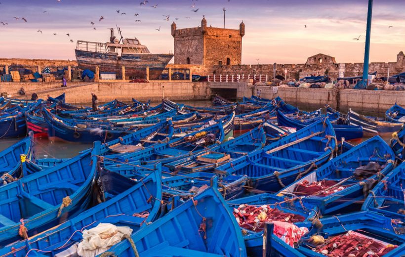 Coastal Adventure in Morocco: From Marrakech to Essaouira