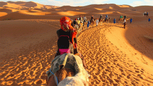 Desert Dunes and Cultural Charms: A Moroccan Adventure
