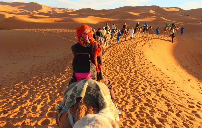 Desert Dunes and Cultural Charms: A Moroccan Adventure